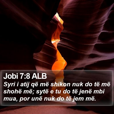 Jobi 7:8 ALB Bible Verse Image