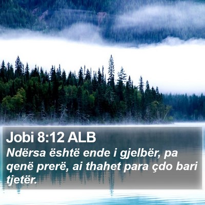 Jobi 8:12 ALB Bible Verse Image