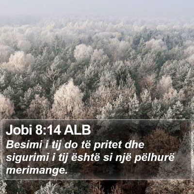 Jobi 8:14 ALB Bible Verse Image