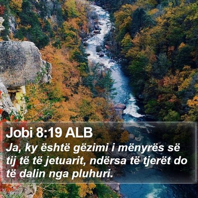Jobi 8:19 ALB Bible Verse Image