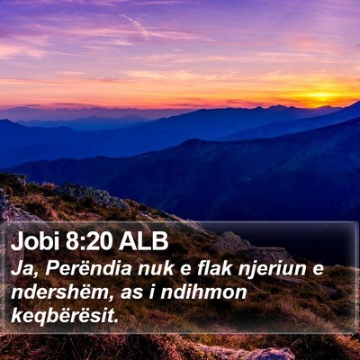 Jobi 8:20 ALB Bible Verse Image