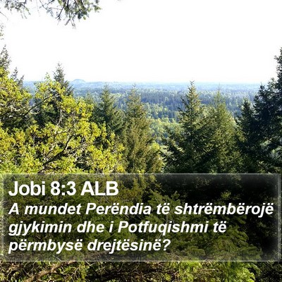 Jobi 8:3 ALB Bible Verse Image