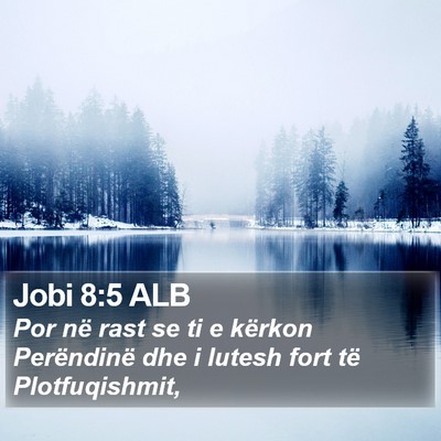 Jobi 8:5 ALB Bible Verse Image