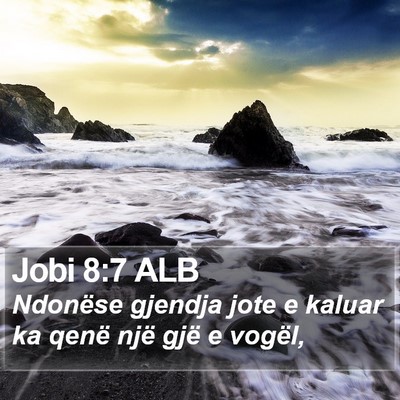Jobi 8:7 ALB Bible Verse Image