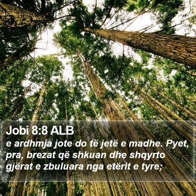 Jobi 8:8 ALB Bible Verse Image