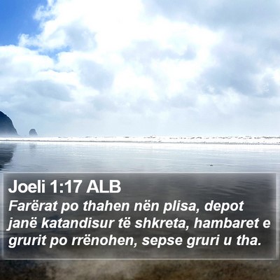 Joeli 1:17 ALB Bible Verse Image