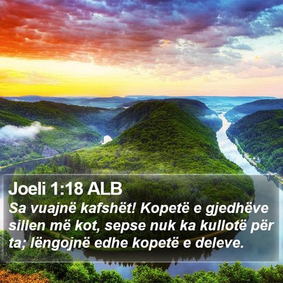 Joeli 1:18 ALB Bible Verse Image