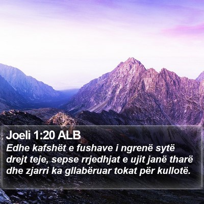 Joeli 1:20 ALB Bible Verse Image