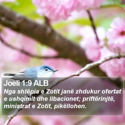 Joeli 1:9 ALB Bible Verse Image