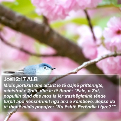 Joeli 2:17 ALB Bible Verse Image