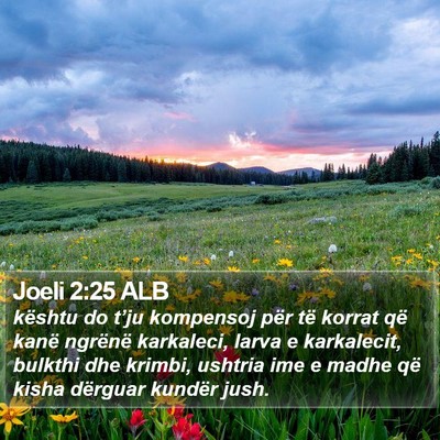 Joeli 2:25 ALB Bible Verse Image