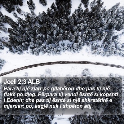 Joeli 2:3 ALB Bible Verse Image