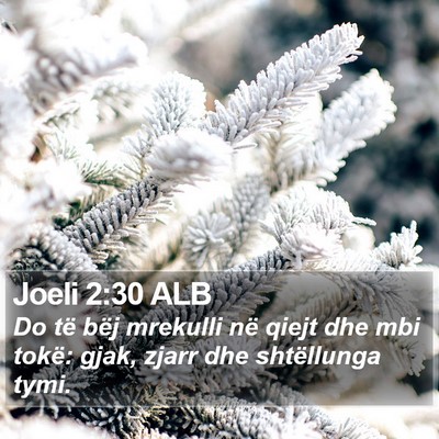 Joeli 2:30 ALB Bible Verse Image