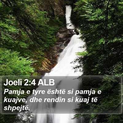 Joeli 2:4 ALB Bible Verse Image