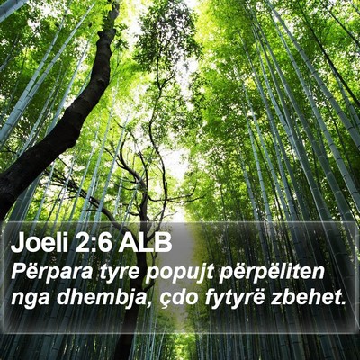 Joeli 2:6 ALB Bible Verse Image