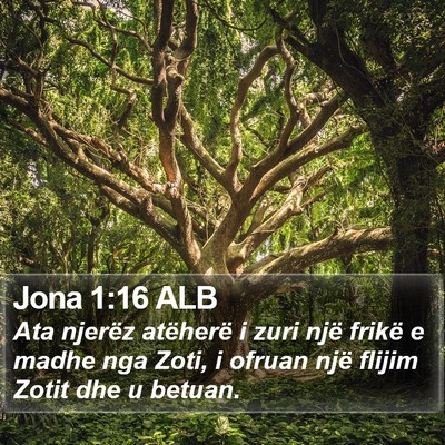 Jona 1:16 ALB Bible Verse Image