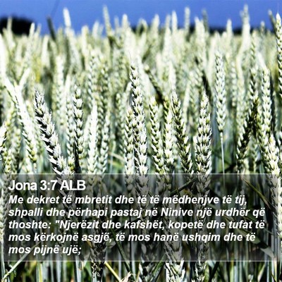 Jona 3:7 ALB Bible Verse Image