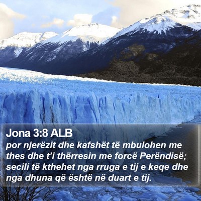 Jona 3:8 ALB Bible Verse Image