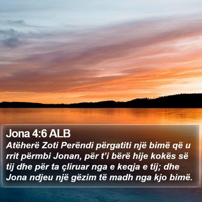 Jona 4:6 ALB Bible Verse Image
