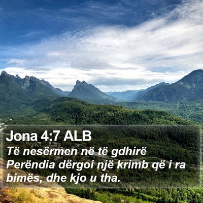 Jona 4:7 ALB Bible Verse Image