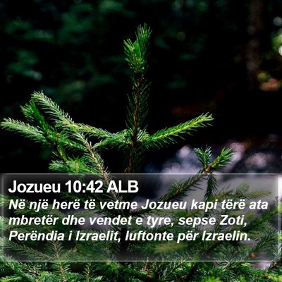 Jozueu 10:42 ALB Bible Verse Image
