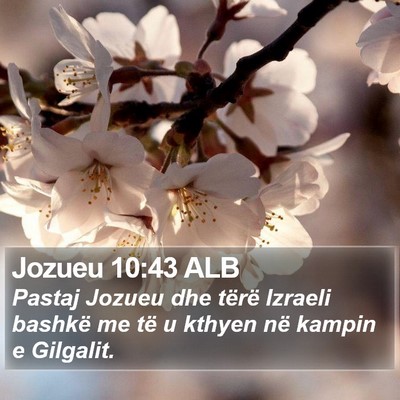 Jozueu 10:43 ALB Bible Verse Image