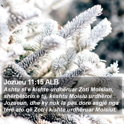 Jozueu 11:15 ALB Bible Verse Image