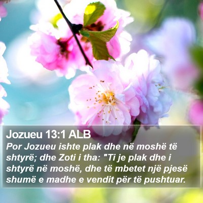Jozueu 13:1 ALB Bible Verse Image