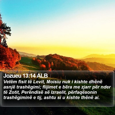 Jozueu 13:14 ALB Bible Verse Image