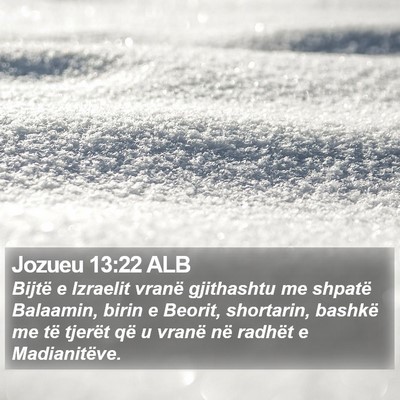 Jozueu 13:22 ALB Bible Verse Image