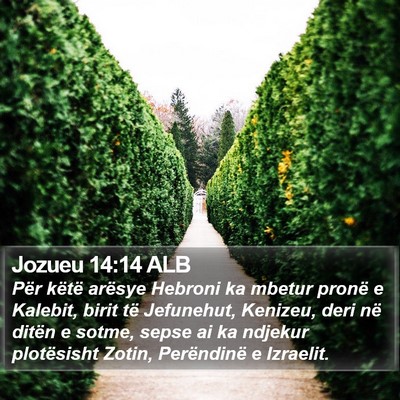Jozueu 14:14 ALB Bible Verse Image