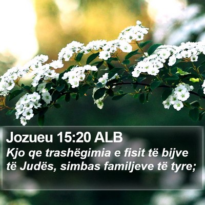 Jozueu 15:20 ALB Bible Verse Image