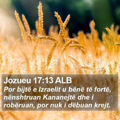 Jozueu 17:13 ALB Bible Verse Image
