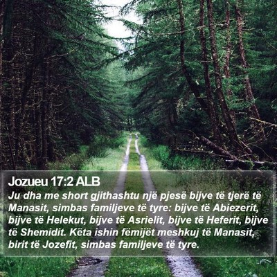 Jozueu 17:2 ALB Bible Verse Image