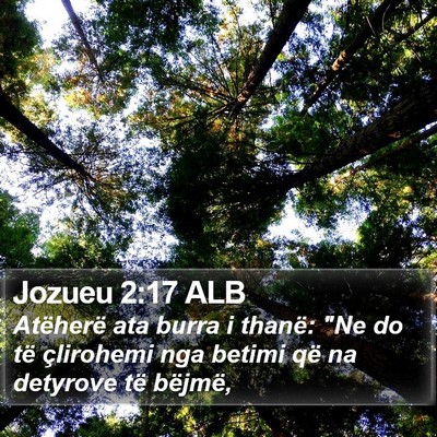 Jozueu 2:17 ALB Bible Verse Image