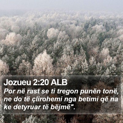 Jozueu 2:20 ALB Bible Verse Image