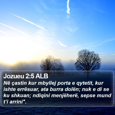 Jozueu 2:5 ALB Bible Verse Image