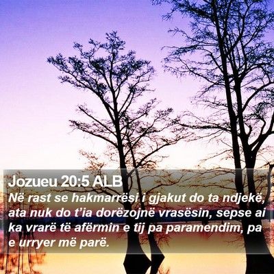 Jozueu 20:5 ALB Bible Verse Image