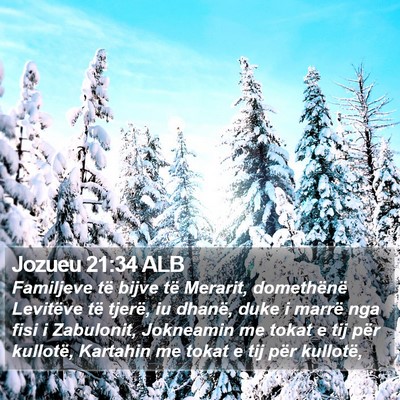 Jozueu 21:34 ALB Bible Verse Image