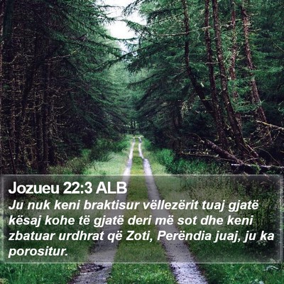 Jozueu 22:3 ALB Bible Verse Image