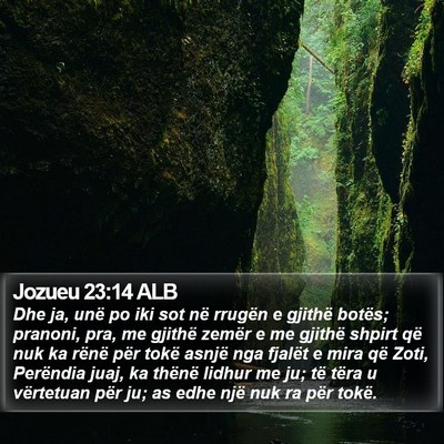 Jozueu 23:14 ALB Bible Verse Image