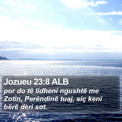 Jozueu 23:8 ALB Bible Verse Image