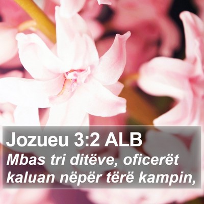 Jozueu 3:2 ALB Bible Verse Image