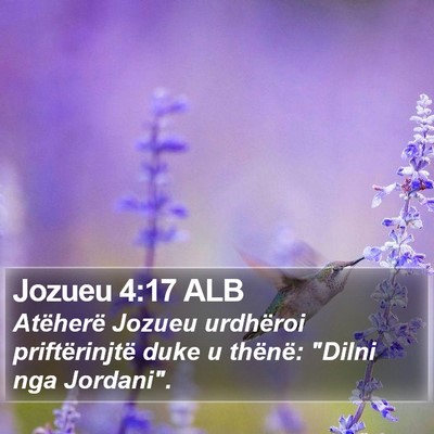 Jozueu 4:17 ALB Bible Verse Image