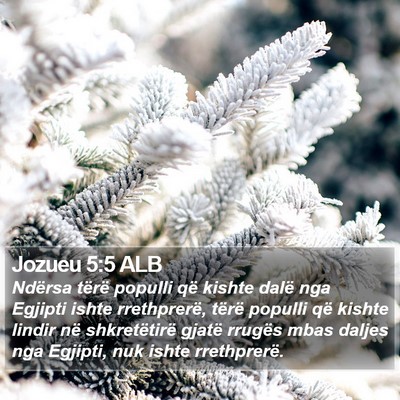 Jozueu 5:5 ALB Bible Verse Image