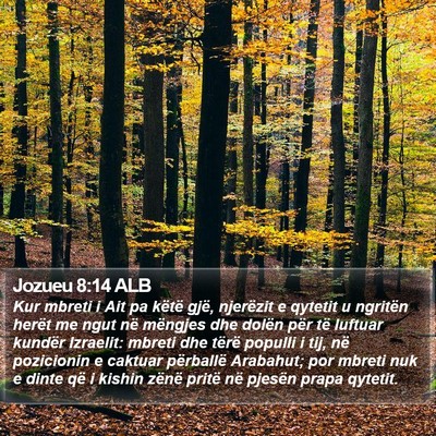Jozueu 8:14 ALB Bible Verse Image