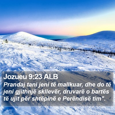 Jozueu 9:23 ALB Bible Verse Image