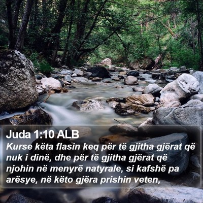 Juda 1:10 ALB Bible Verse Image