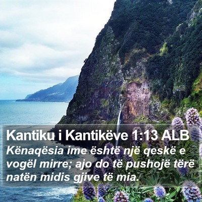 Kantiku i Kantikëve 1:13 ALB Bible Verse Image