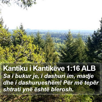 Kantiku i Kantikëve 1:16 ALB Bible Verse Image